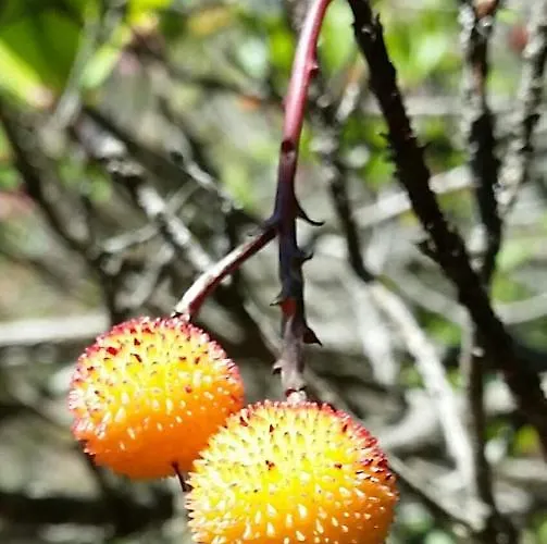 Apartment Bel Orizonte, Grand 70m2 Vue